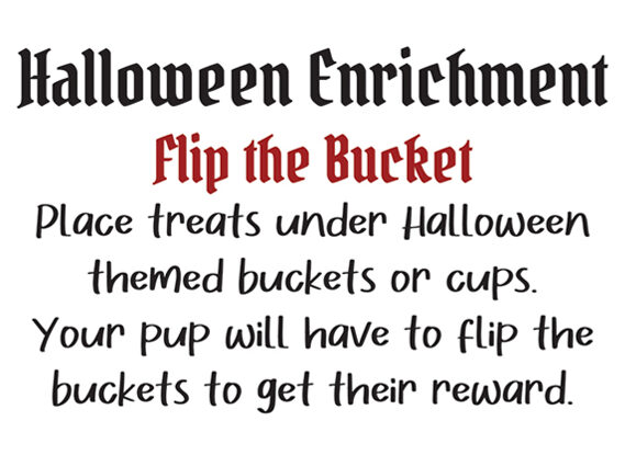 Flip the Bucket